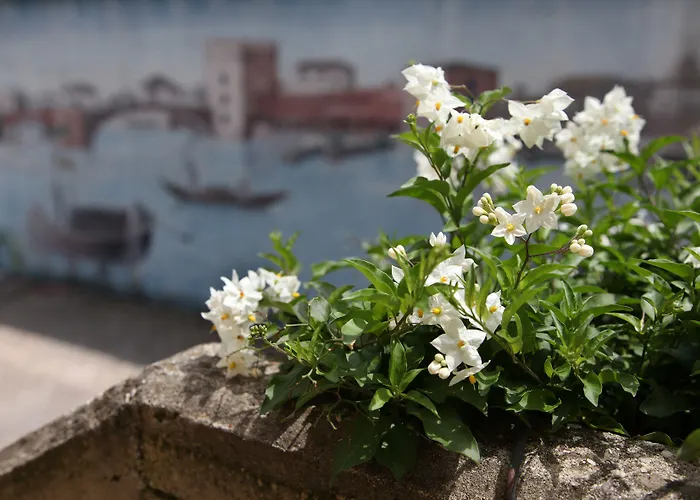 酒店 马克西姆酒店 4*