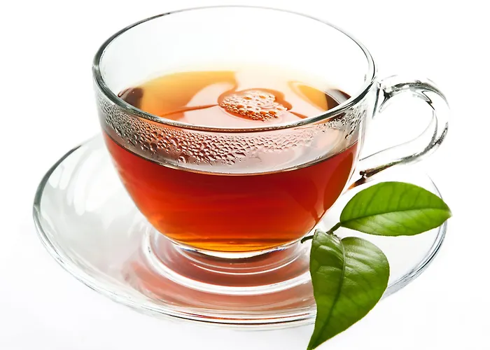 马克西姆酒店 4* 维罗纳