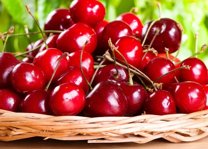 맥심 호텔 베로나