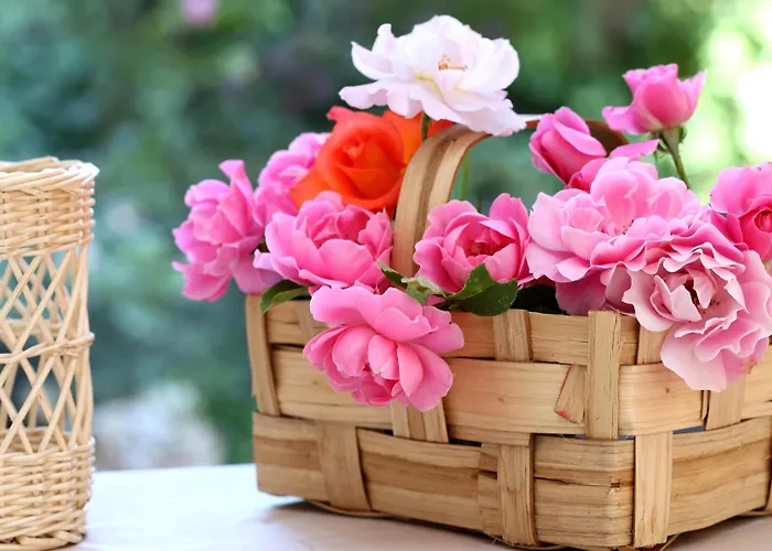 Maxim 4* فيرونا